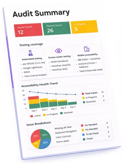 Audit summary statistics
